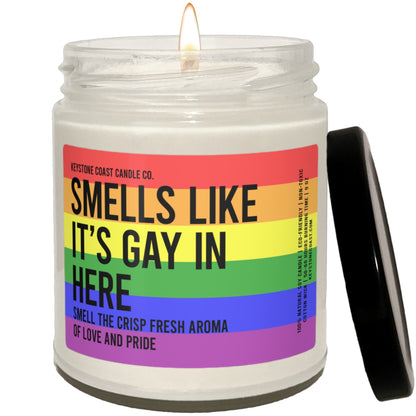 Smells like its gay in here Scented Soy Candle, 9oz