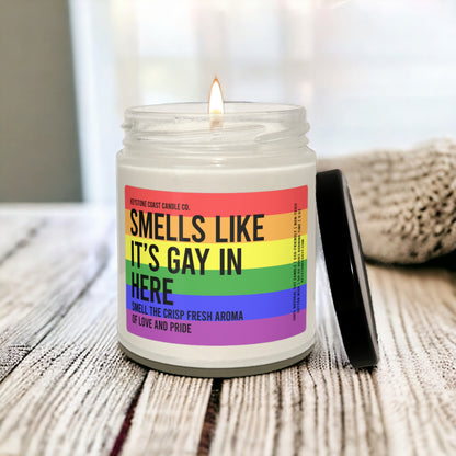 Smells like its gay in here Scented Soy Candle, 9oz