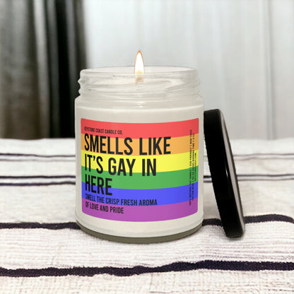 Smells like its gay in here Scented Soy Candle, 9oz