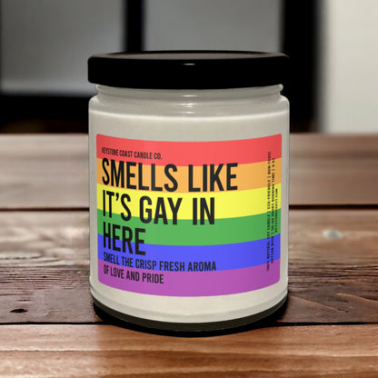 Smells like its gay in here Scented Soy Candle, 9oz